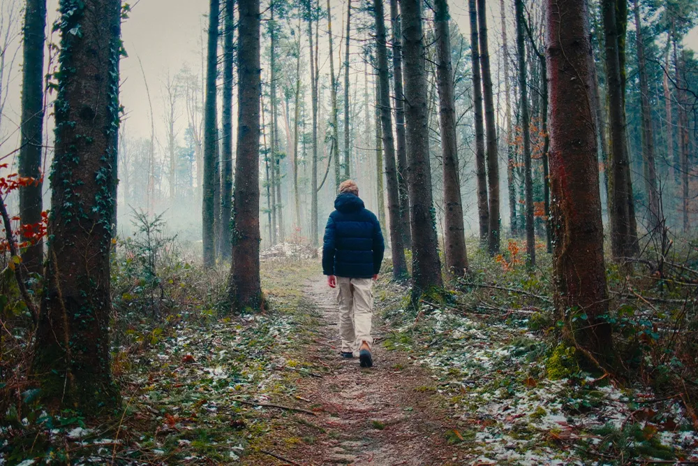 Film-graded frame showing Dehancer color emulation applied